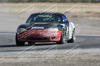 media/Oct-21-2023-Speed Ventures (Sat) [[ddf75163c5]]/Green/Grapvine/